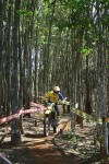 enduro3.jpg