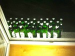 IMG_1053c.jpg